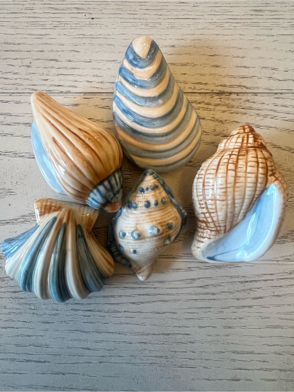 Glazed Ceramic Seashell Décor Set of 5- Blue & Tan